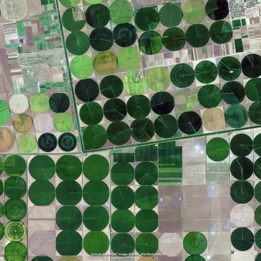 Agriculture Example 2